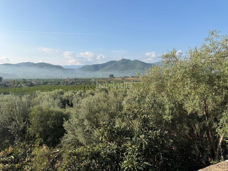 Foto 9d863e10-e14d-4638-93ff-135a2e1a891f. Mas dans Onda