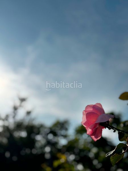 Foto 5be8c155-81bb-45e3-b709-3470da7b4e3b. Masia amb piscina a Onda