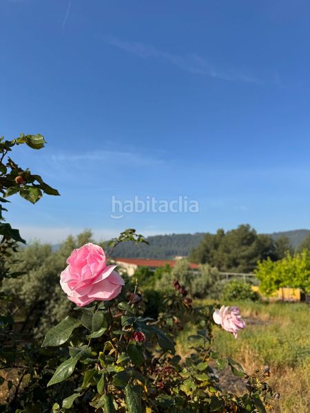 Foto d95e46ec-257d-47fc-afd1-1f70002d424d. Masia amb piscina a Onda