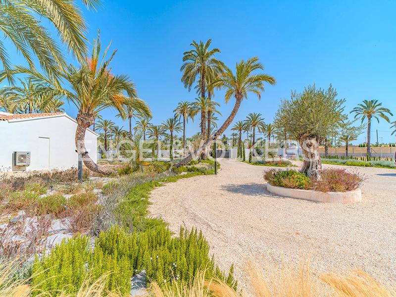 Foto 743ab3f7-4fb1-48f7-837e-0bcb55abbe6f. Xalet amb calefacció aparcament piscina a Alzabares Elche / Elx