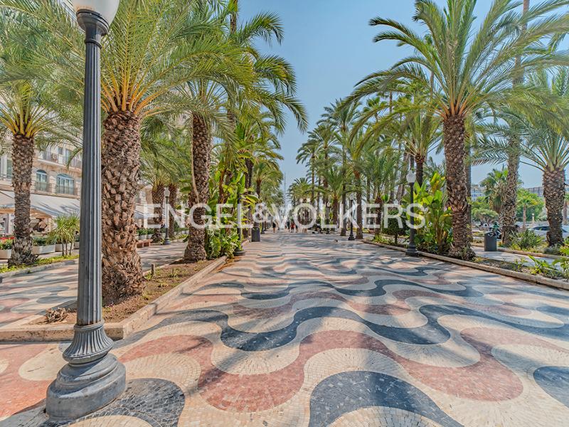 Foto ba200ed3-5713-424d-a5a8-32ea15c58bf1. Appartamento in calle san fernando 13 in Casco Antiguo - Sta. Cruz - Ayuntamiento Alicante