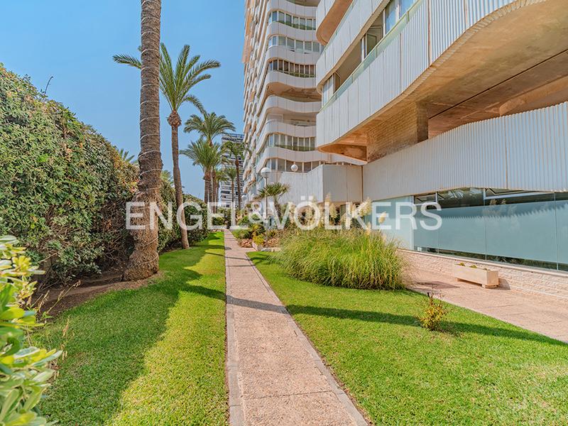 Foto 8bc1fc35-8e14-4dc2-8880-18bb5a0c31a1. Affitto appartamento in avenida de niza 2 in Playa de San Juan Alicante