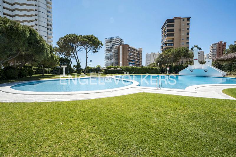Foto 0e6e6f3f-c21b-45f5-b9eb-13b65c925ac6. Alquiler piso en avenida de niza 2 un lujo moderno frente al mar en Alicante