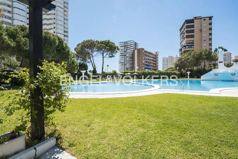 Foto d41e8a65-3903-4ae9-ab40-ced0078b43fa. Alquiler piso en avenida de niza 2 un lujo moderno frente al mar en Alicante