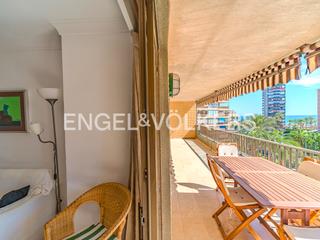 Appartement  Avinguda de la costa blanca 135. Relax y confort en san juan playa
