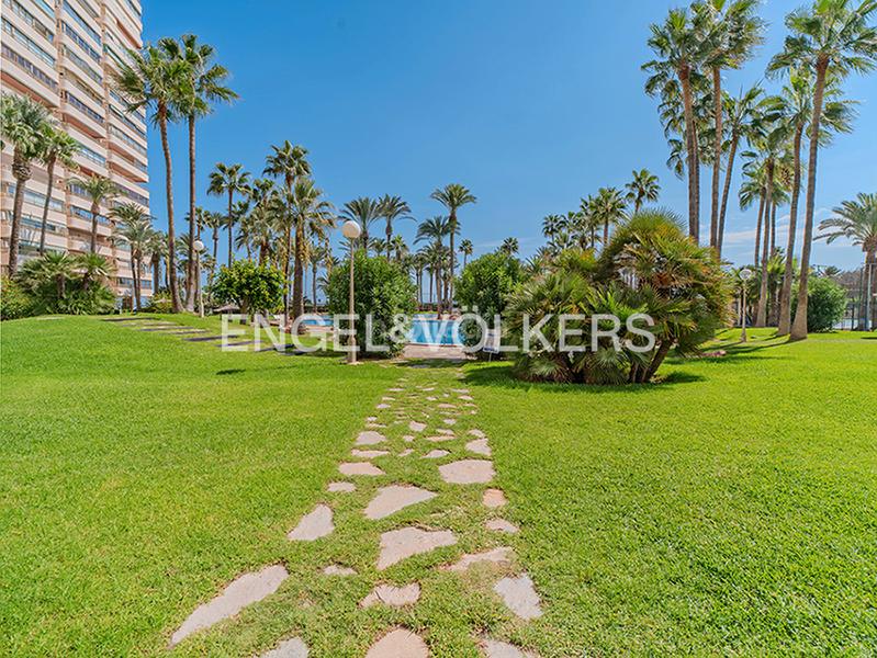 Foto 6a251805-808f-41a1-b51d-a95f139ea17a. Pis a carrer d'alboran 1 a Playa Muchavista Campello (el)