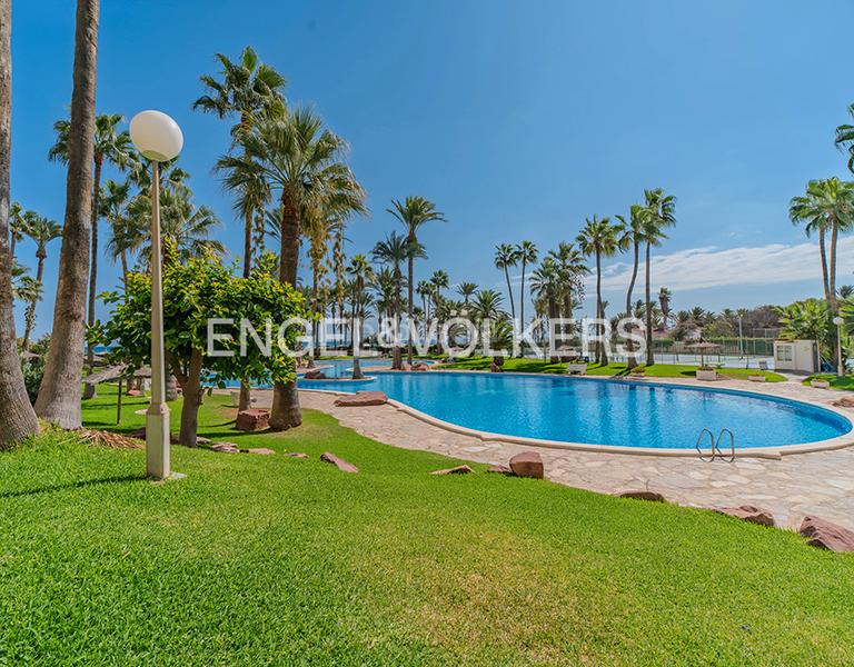 Foto 8049d6a6-ac00-4601-8cdf-9e85ca0c46cf. Pis a carrer d'alboran 1 a Playa Muchavista Campello (el)