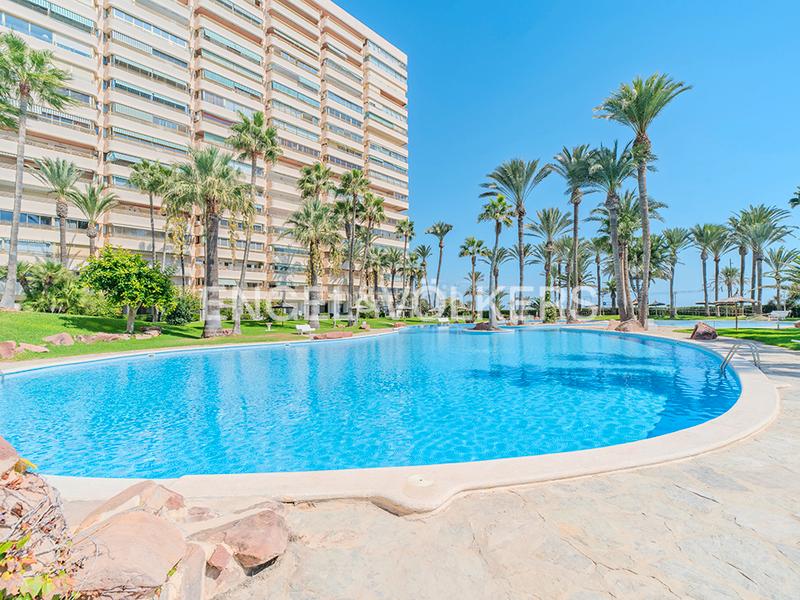 Foto a4a5383a-bde1-47af-a5c6-91a6a0d70e6f. Pis a carrer d'alboran 1 a Playa Muchavista Campello (el)