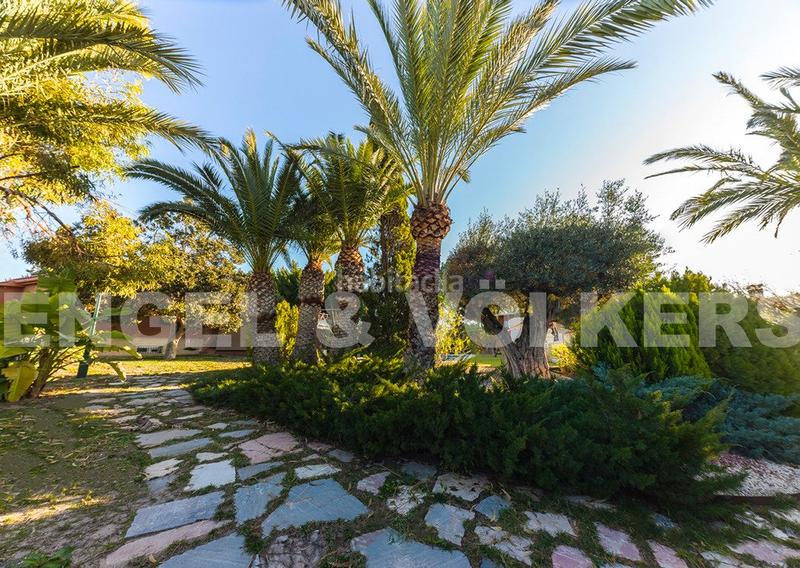 Foto be3425e9-25ba-4c6a-be39-173a893df9e4. Chalet with parking pool in Peña de las Águilas Elche / Elx