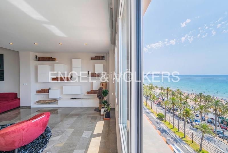 Foto 205ad7c4-49b5-4ad7-8074-42b6cb85e502. Àtic a paseo de gomiz 3 a Casco Antiguo - Sta. Cruz - Ayuntamiento Alicante