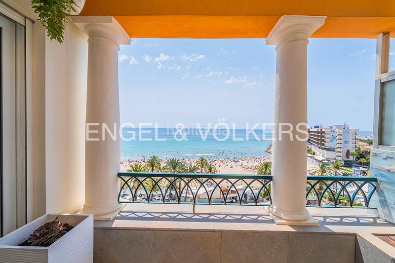 Foto addc8f2a-f2a0-4c89-a84a-122401c58154. Àtic a paseo de gomiz 3 a Casco Antiguo - Sta. Cruz - Ayuntamiento Alicante