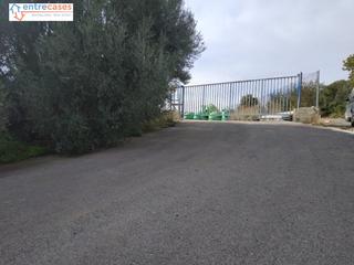 Finca rústica a Vall d´Uixó (la). Parcela de dos hanegadas en partida la cova, vall duixo