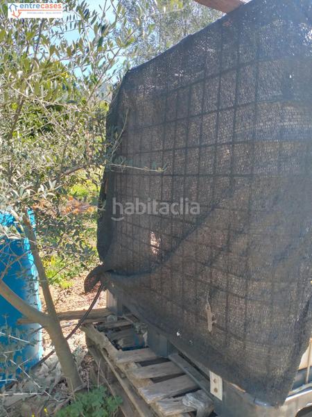 Foto 4bc27fd0-a847-437a-b64c-94171d8ac0db. Finca rústica a Petrés