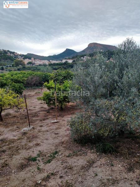 Foto 5e0cef17-b074-409a-baa3-7b91a5292bc3. Finca rústica a Petrés