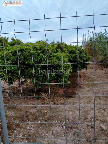 Foto 6ba1c701-cecd-4a84-82a4-93d052fc3dcf. Finca rústica a Petrés