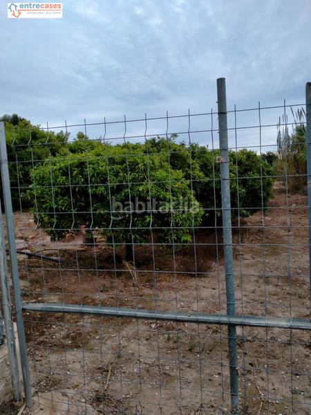 Foto 826b5d6d-c89f-48d2-bc6e-256b4e5aaccd. Finca rústica a Petrés