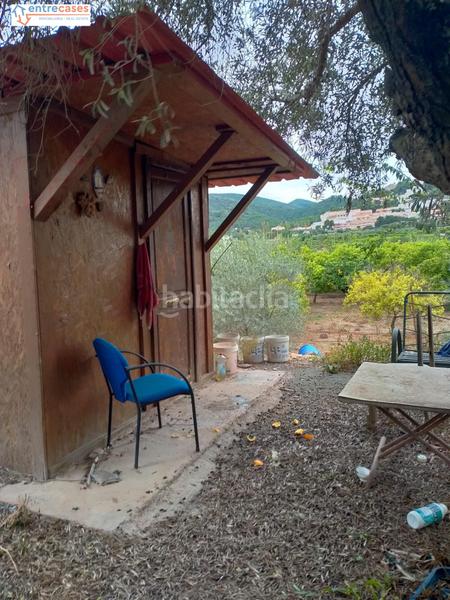 Foto 8ed7a786-0855-4ab6-993d-938d7ae4dad1. Finca rústica a Petrés