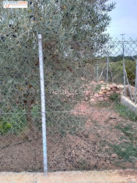 Foto 99fa70da-5f3e-4c6f-b072-d0c9e2a74747. Finca rústica a Petrés