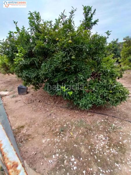 Foto eddccb52-f3ac-45fe-a878-d32e7ab2a84e. Finca rústica a Petrés