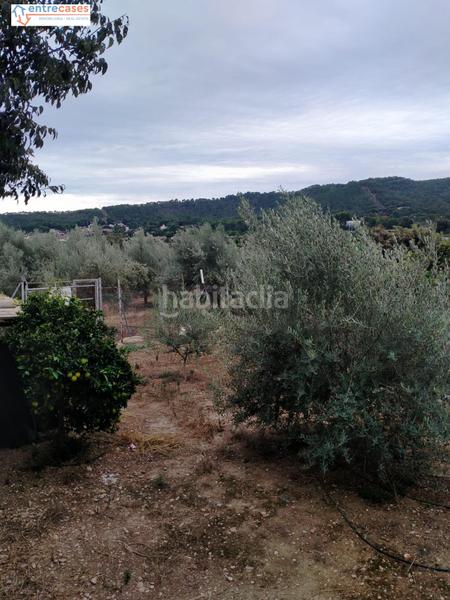 Foto f1bb48be-e33a-424e-a8e8-30f2e41382a9. Finca rústica a Petrés