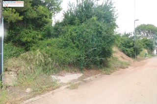 Terreno residenziale in Albalat dels Tarongers. Imagina tu vida aquí
