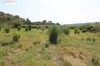 Rural plot in Gilet. Terreno de 2 hanegadas entre petres y albalat tarongers