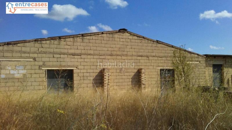 Foto 0c759808-cfec-4293-878a-946bac4d568e. Rural plot in Albalat dels Tarongers