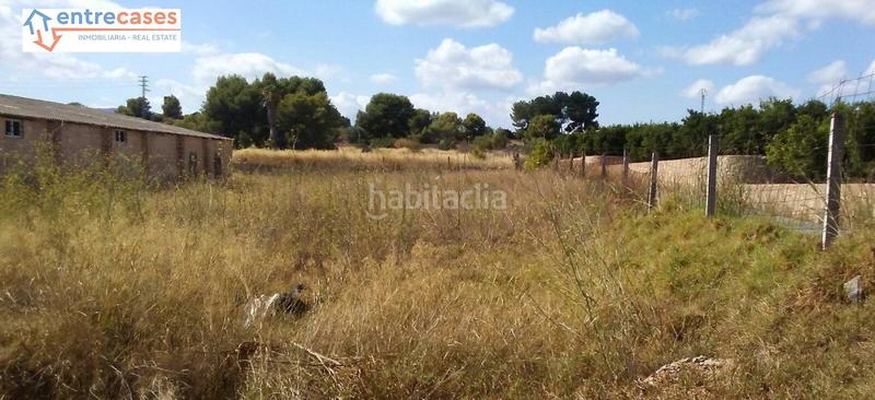 Foto 172ef243-25e7-45ce-adb0-31aecc864aa3. Rural plot in Albalat dels Tarongers