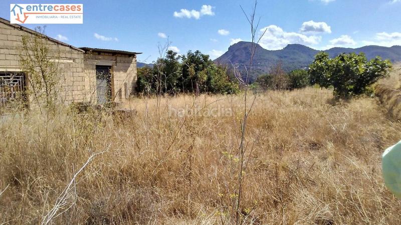 Foto 1ded6359-9eb0-462c-8ca1-907472fb0b36. Rural plot in Albalat dels Tarongers