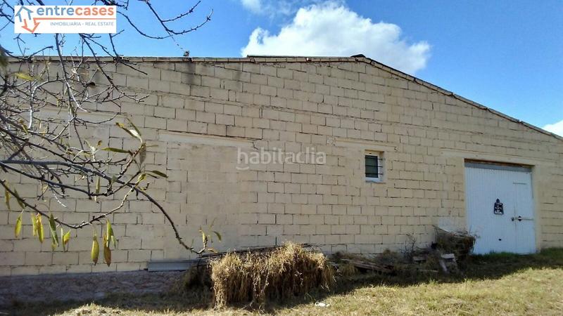 Foto 215b03d5-7ac2-450c-80a0-5c2f3386d8f1. Rural plot in Albalat dels Tarongers