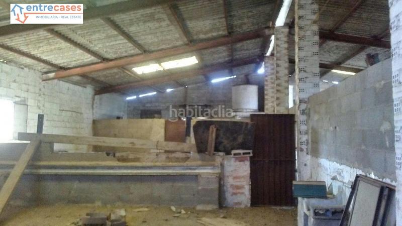 Foto 4362bccb-785b-4736-b513-9a534525f39c. Rural plot in Albalat dels Tarongers