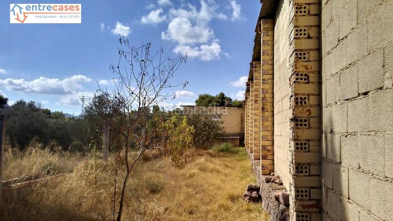 Foto 559e3961-aba7-473b-a0cd-4a93dd2109d7. Rural plot in Albalat dels Tarongers