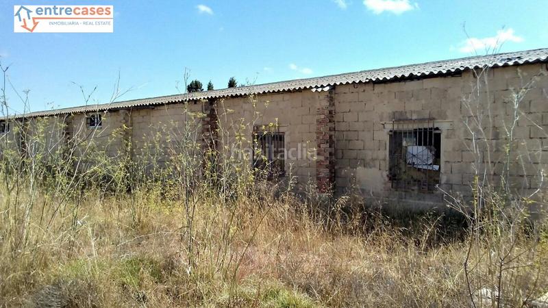 Foto 74e6702f-28b8-48df-92de-559778083e01. Rural plot in Albalat dels Tarongers