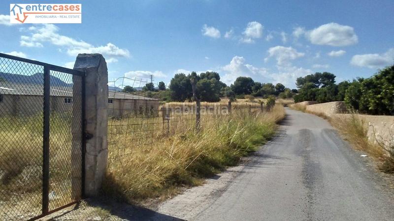 Foto 7c571cec-2482-478d-85b5-c41f2c55db9a. Rural plot in Albalat dels Tarongers