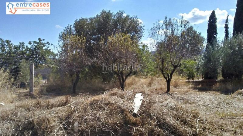 Foto a8dfd6cf-75a7-49d5-a90e-cb695666eec0. Rural plot in Albalat dels Tarongers