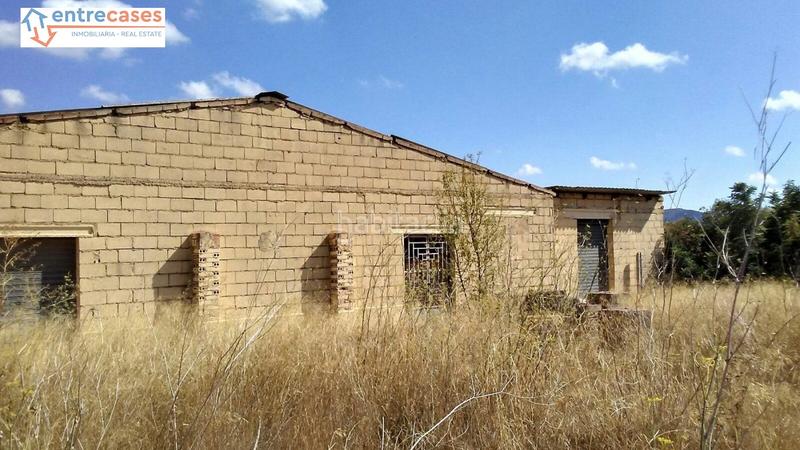 Foto af95d19c-6768-4439-99b5-cf9980edf8d9. Rural plot in Albalat dels Tarongers