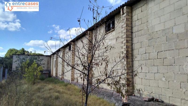 Foto b393a8d1-6c7f-421e-a8bb-67b3813ce09a. Rural plot in Albalat dels Tarongers