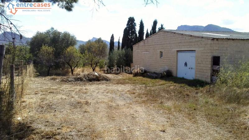 Foto bd6e4de4-68ac-4c4a-be0d-cf3f67dd1213. Rural plot in Albalat dels Tarongers
