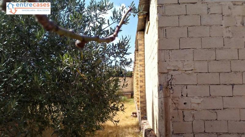 Foto f1b7c439-bd4c-44a9-9f65-ce43d8ce7448. Rural plot in Albalat dels Tarongers