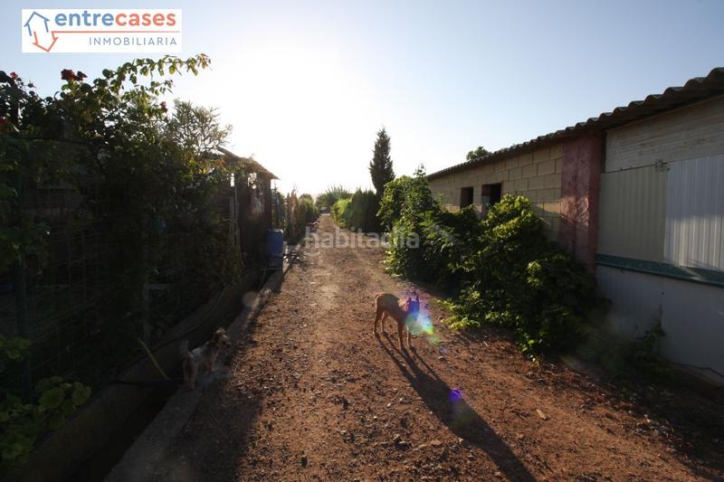 Foto b07f2af1-f1d2-49db-ab20-68511ec0fea7. Haus in Corinto-Almardà Sagunt