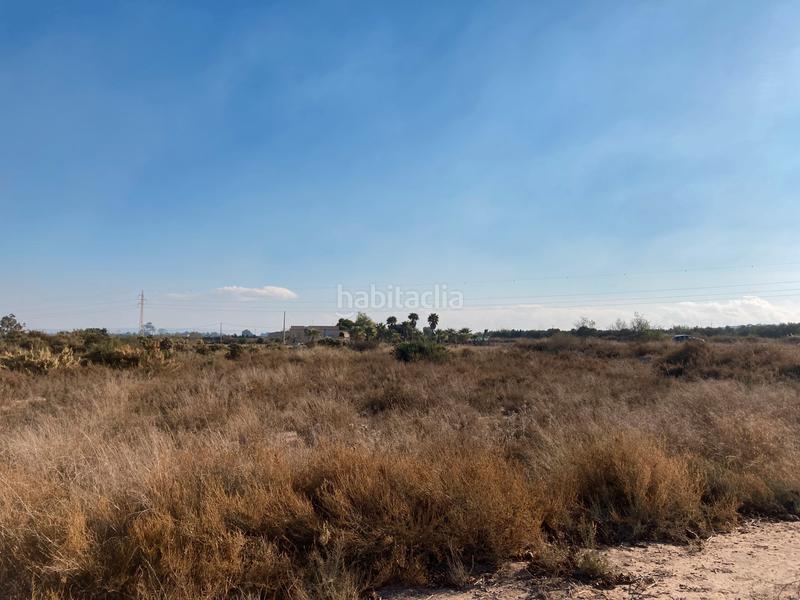 Foto 174a7df8-e75f-4a8f-afbf-91f06f24758b. Terreno residencial parcela rustica en La Marina Elche / Elx