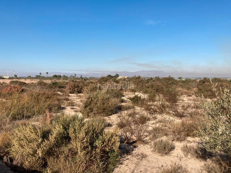Foto 22f18c5b-502e-4541-930d-2d62dedcd16f. Terreno residencial parcela rustica en La Marina Elche / Elx