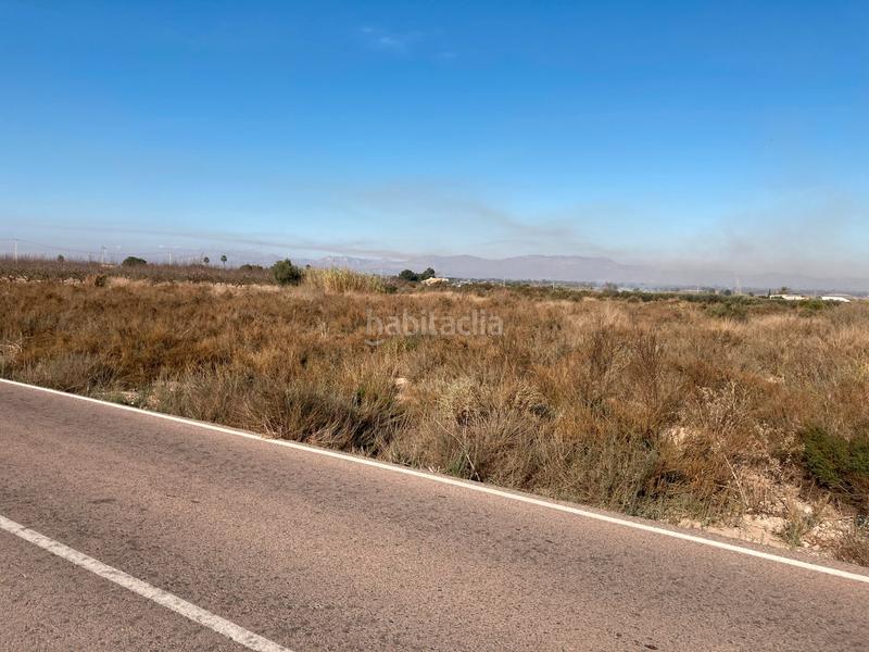 Foto 32d03a5c-7a2f-492f-861a-b5f1d9c28bbb. Terreno residencial parcela rustica en La Marina Elche / Elx