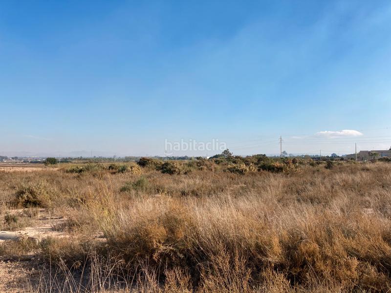 Foto 5d3eff00-fc28-4233-877e-c8f6407be4f0. Terreno residencial parcela rustica en La Marina Elche / Elx