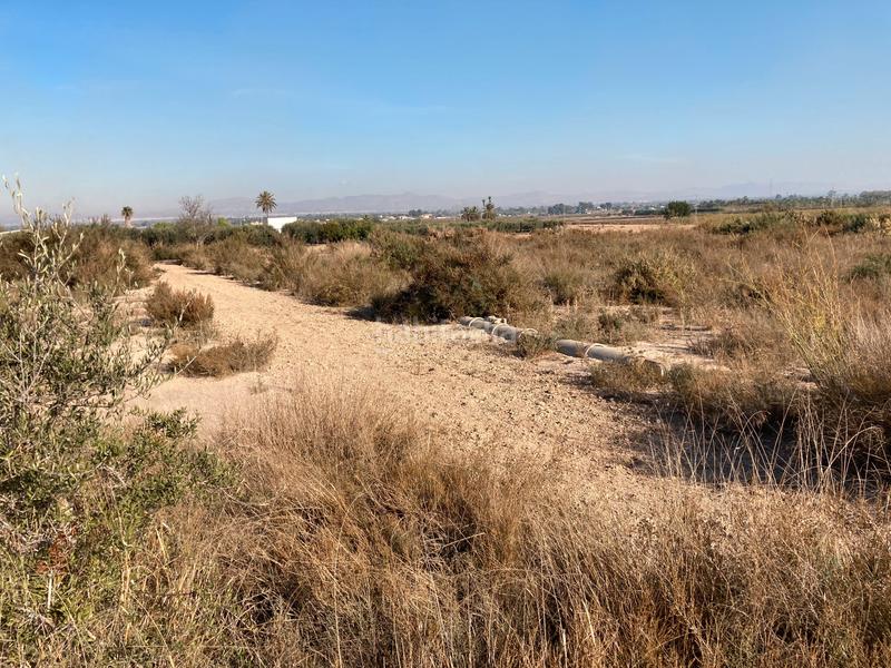 Foto 625ca62c-8cbf-479d-8440-0b56d2b21247. Terreno residencial parcela rustica en La Marina Elche / Elx