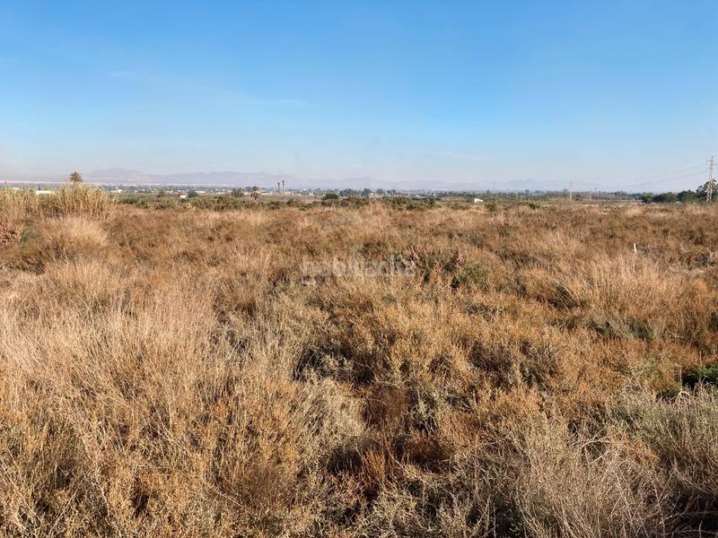 Foto 728ac336-bb4e-429f-ace4-2bf29395d125. Terreno residencial parcela rustica en La Marina Elche / Elx