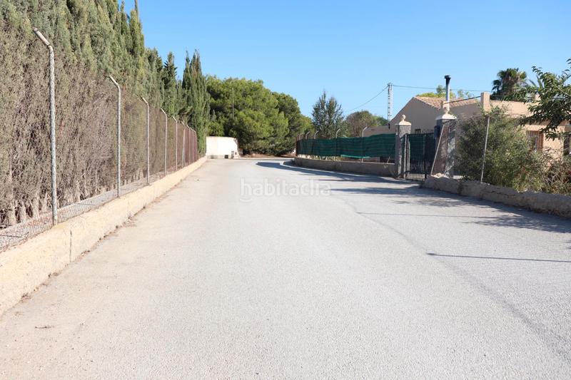 Foto ee4887c7-c887-4469-b4c6-a04bef765c28. Fondo rustico in Valverde Elche / Elx