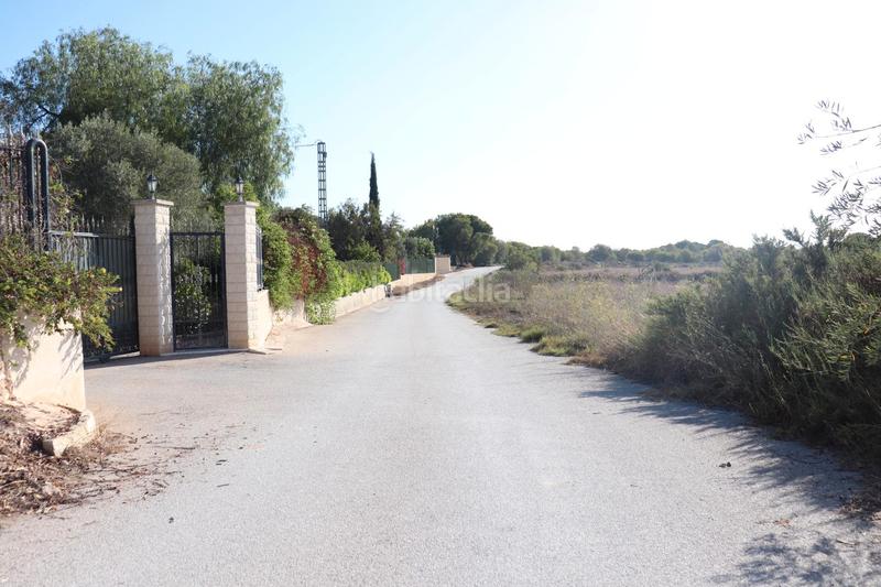 Foto 39d0f7b7-b69e-4a76-a7da-e1486a10768b. Rural plot in Valverde Elche / Elx