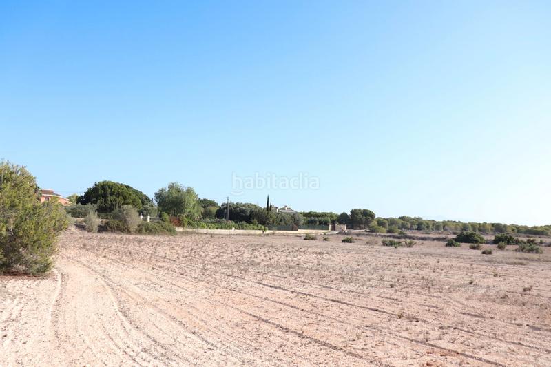 Foto f2f4ae78-2d0e-43ca-83ed-17b3edd63237. Finca rústica a Valverde Elche / Elx