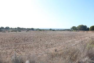 Finca rústica a Valverde